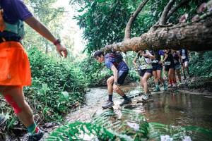 BIB: 
                            <button type="button" onclick="openModal(25458734)" class="btn btn-primary btn-sm float-right btn-popup" data-toggle="modal" data-target=".modal-high-quality">
                        <i class="fas fa-shopping-cart"></i> Add to Cart
                    </button>
                                            <button type="button" onclick="isThisMe(25458734, true)" class="btn btn-success btn-sm float-right btn-popup btn-isme hidden" data-toggle="tooltip" data-placement="bottom" title="นี่คือรูปของคุณใช่ไหม คลิกที่นี่เพื่อเอาเข้าอัลบั้ม">
                        <i class="fas fa-plus"></i> Add to album
                    </button>
                    <button type="button" onclick="isThisMe(25458734, false)" class="btn btn-warning btn-sm float-right btn-popup btn-isnotme hidden">
                        <i class="fas fa-ban"></i> Remove from album
                    </button>